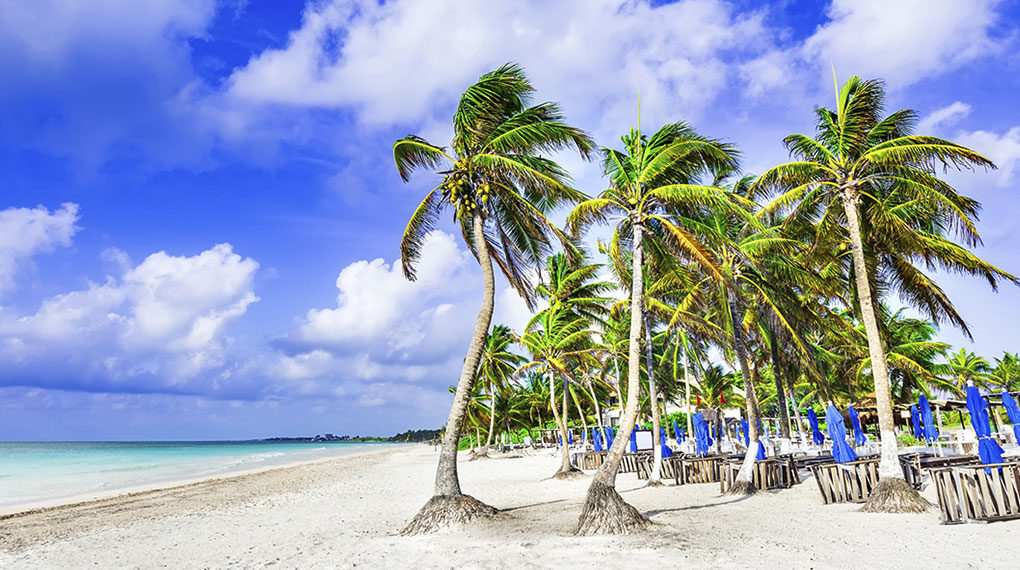 7 Mejores Playas de la Riviera Maya para Vivir el Caribe 2025