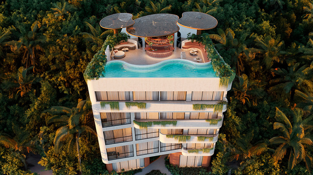 the-curve-redmex-desarrollos